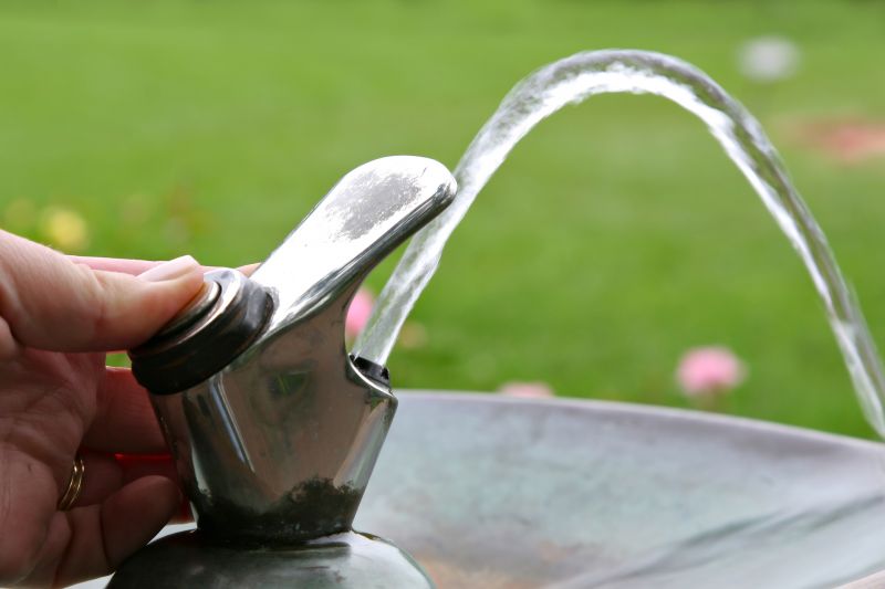 Drinking Fountain Service in Carson City, NV